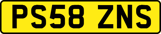 PS58ZNS