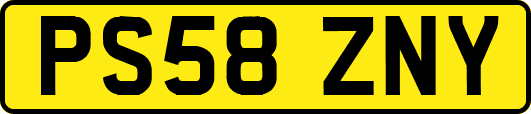 PS58ZNY