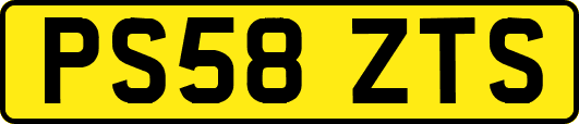 PS58ZTS