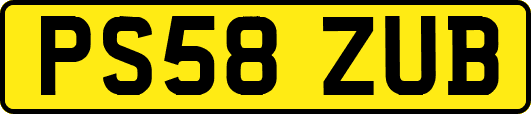 PS58ZUB