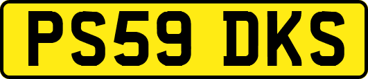 PS59DKS