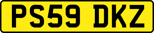 PS59DKZ