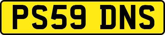 PS59DNS