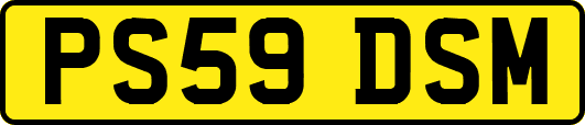 PS59DSM
