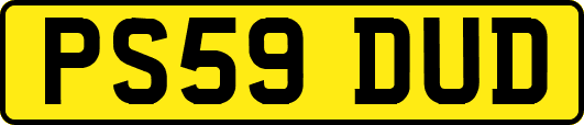 PS59DUD