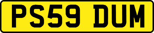 PS59DUM
