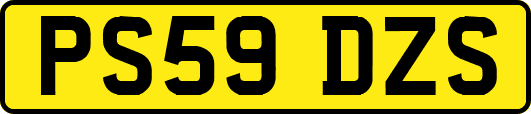 PS59DZS