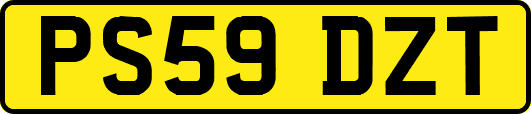 PS59DZT
