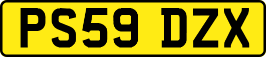 PS59DZX