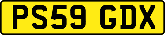 PS59GDX
