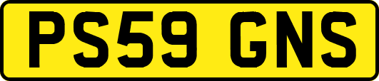 PS59GNS
