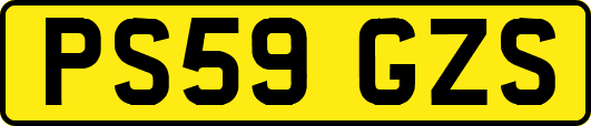 PS59GZS