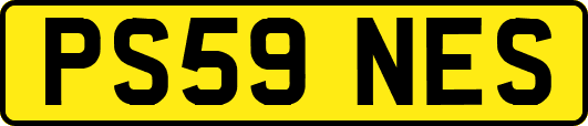 PS59NES