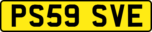 PS59SVE