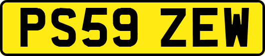 PS59ZEW