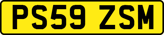PS59ZSM
