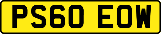 PS60EOW