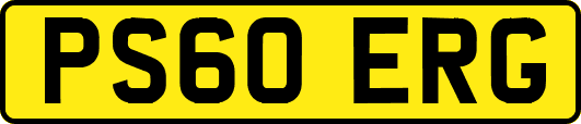 PS60ERG