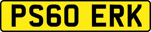 PS60ERK