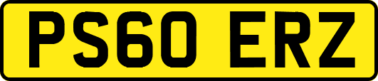 PS60ERZ