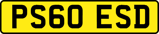 PS60ESD