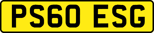PS60ESG