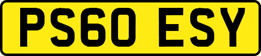 PS60ESY