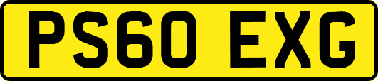 PS60EXG
