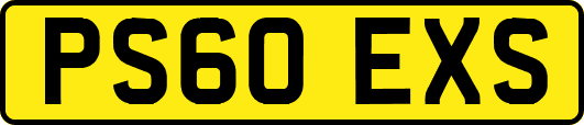 PS60EXS