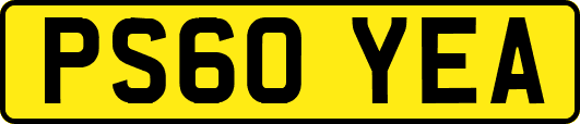 PS60YEA
