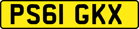 PS61GKX