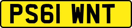 PS61WNT