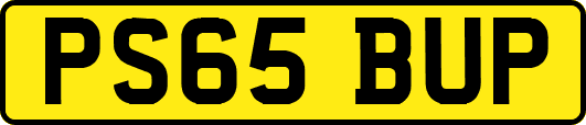 PS65BUP