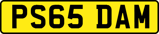 PS65DAM