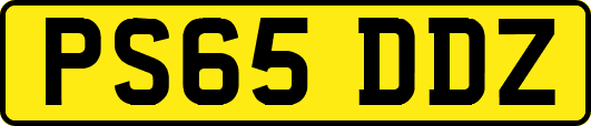 PS65DDZ