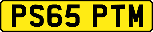 PS65PTM