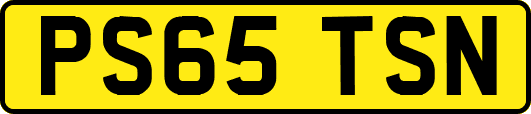 PS65TSN