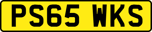 PS65WKS