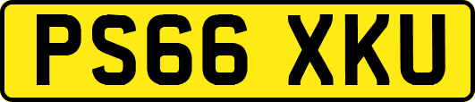 PS66XKU
