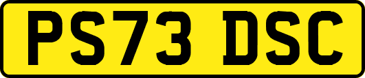 PS73DSC