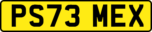 PS73MEX