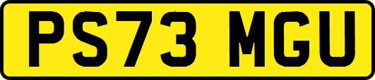 PS73MGU