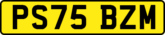 PS75BZM