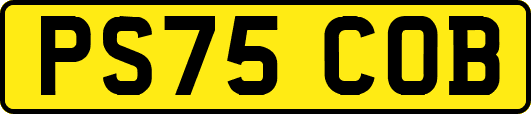 PS75COB