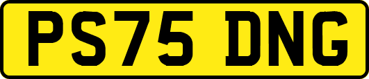 PS75DNG