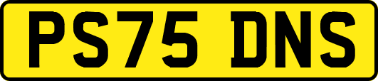 PS75DNS