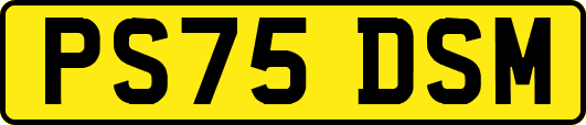 PS75DSM