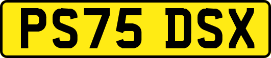 PS75DSX