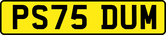PS75DUM