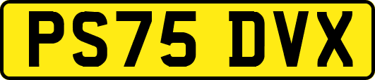 PS75DVX